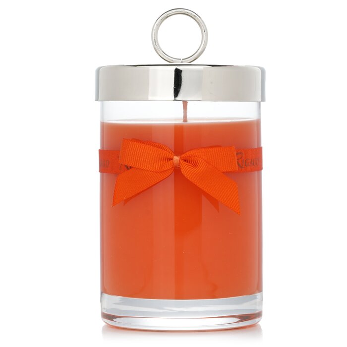 Scented Candle 230g / 8.11 oz