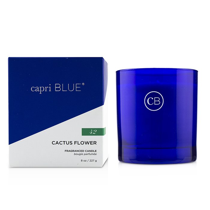 Ароматическая свеча Capri Blue «Цветок кактуса» 227 г