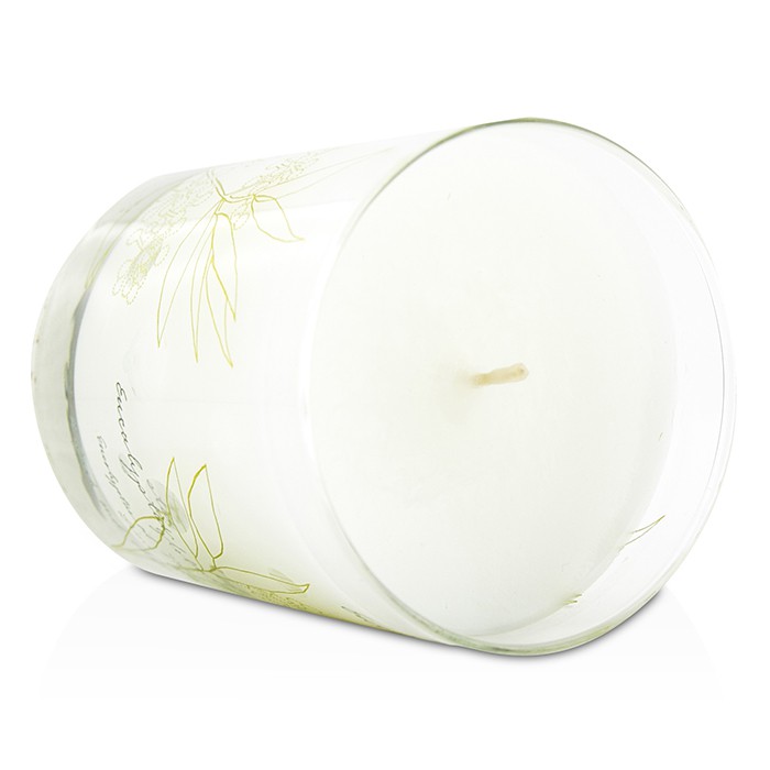 Ароматическая свеча Thymes с эвкалиптом, 255 г