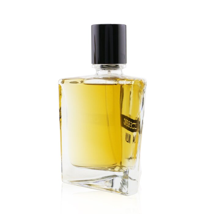 Iceberg Man Eau de Toilette 100 мл — восточно-деревянный аромат для современных мужчин