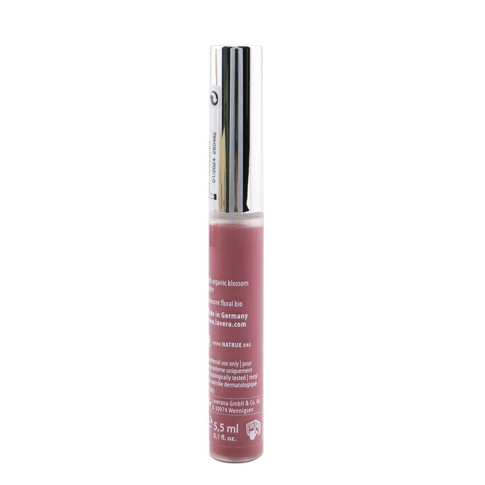 Glossy Lips - # 04 Soft Mauve 5.5ml/0.1oz