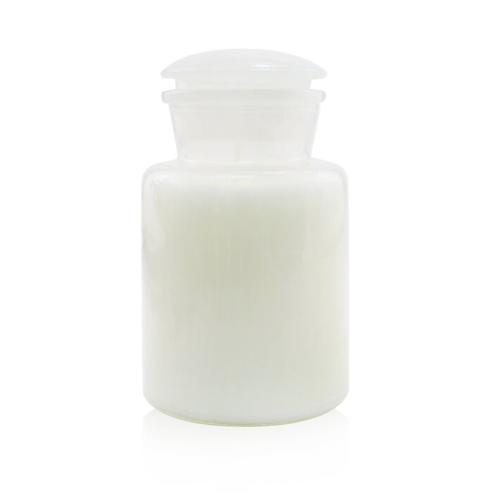 Свеча ароматическая Paddywax с мятой и кардамоном 226 г