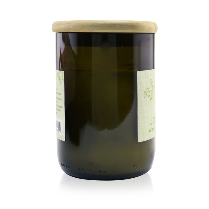 Ароматическая свеча с тимьяном и оливковыми листьями Paddywax, 226 г