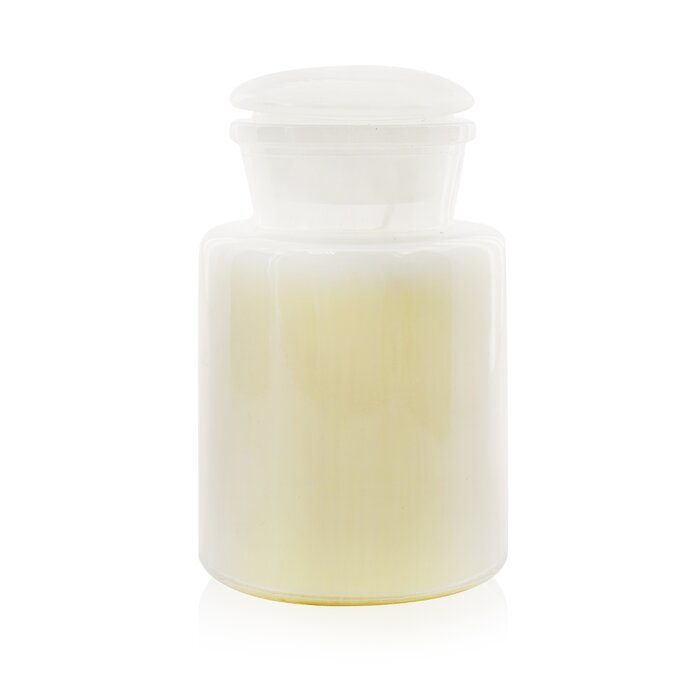 Ароматическая свеча Paddywax с ароматом дикого инжира и кедра, 226 г