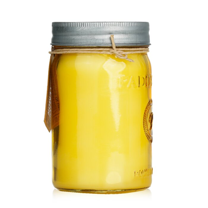 Свеча Paddywax с ароматом лимона Мейера, 269 г