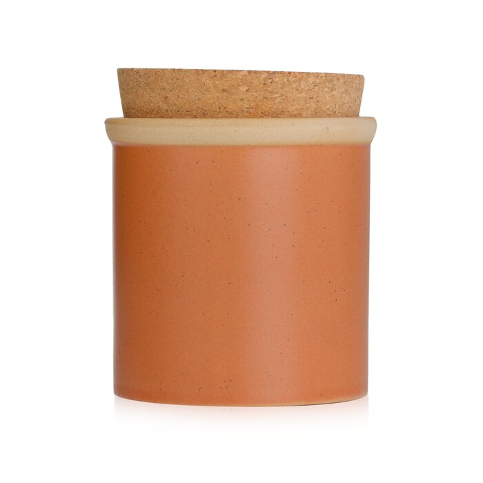 Ароматическая свеча Paddywax с ароматом цветка кактуса и алоэ, 226 г