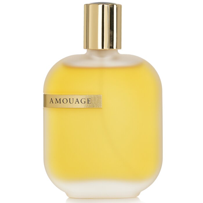 Amouage Library Opus I парфюмированный спрей 50 мл — шипровый аромат для мужчин и женщин с нотами кожи и цветов