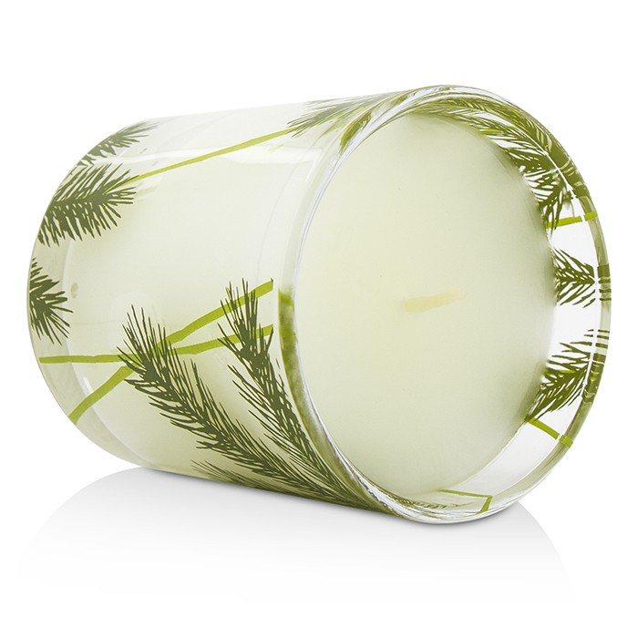 Ароматная свеча Thymes Frasier Fir с запахом ели, 142 г