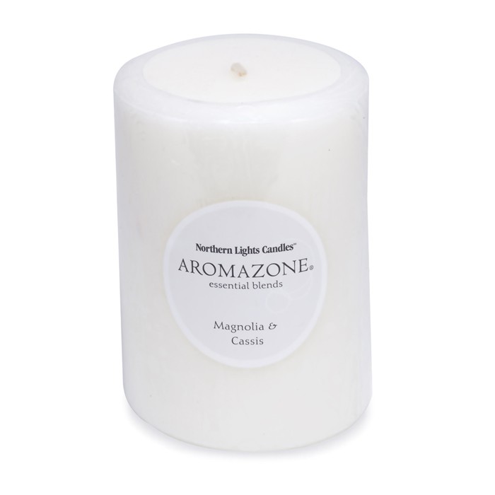 Ароматическая свеча Northern Lights Candles с магнолией и черной смородиной, 3x4 дюйма