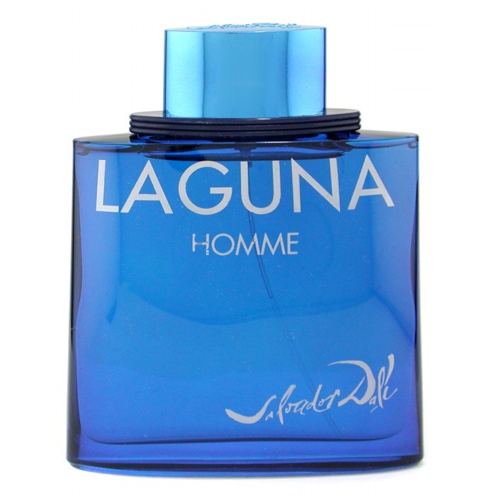 Туалетная вода Laguna Homme для мужчин с нотами корицы, кипариса и сандалового дерева, 100 мл
