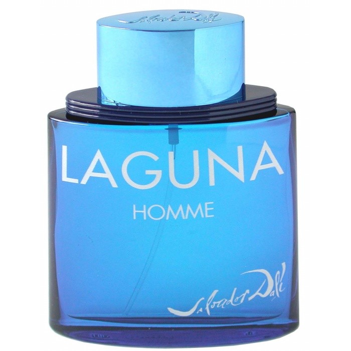 Туалетная вода Salvador Dali Laguna Homme с корицей и сандалом для мужчин, 50 мл