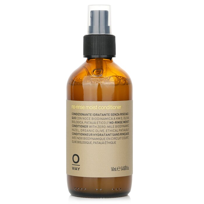 No Rinse Moist Conditioner