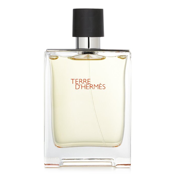 Terre d'Hermès туалетная вода для мужчин, 100 мл