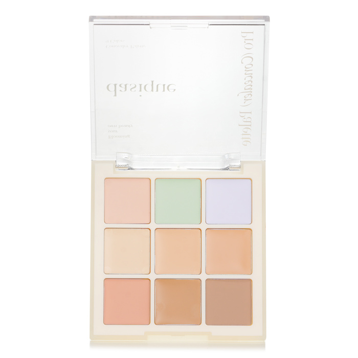 Pro Concealer Palette # 01 Cover